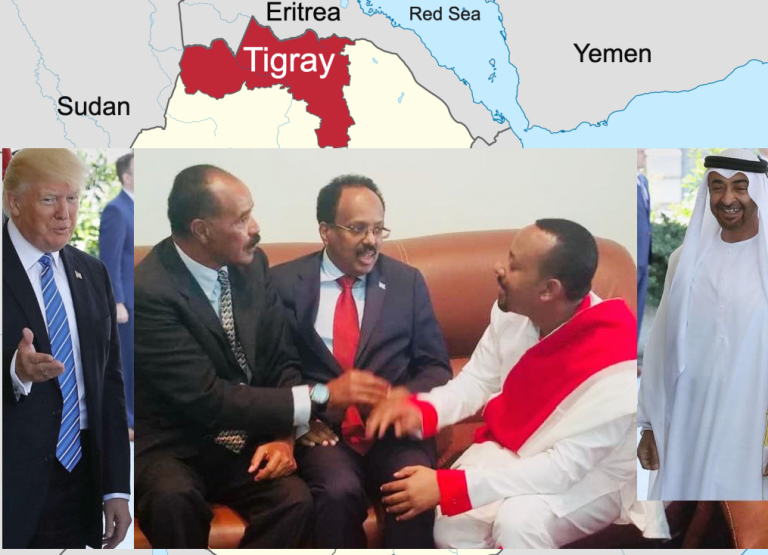 The war on Tigray: The support and involvement of the United States, Amhara, Eritrea, Sudan, Djibouti, Somalia and UAE