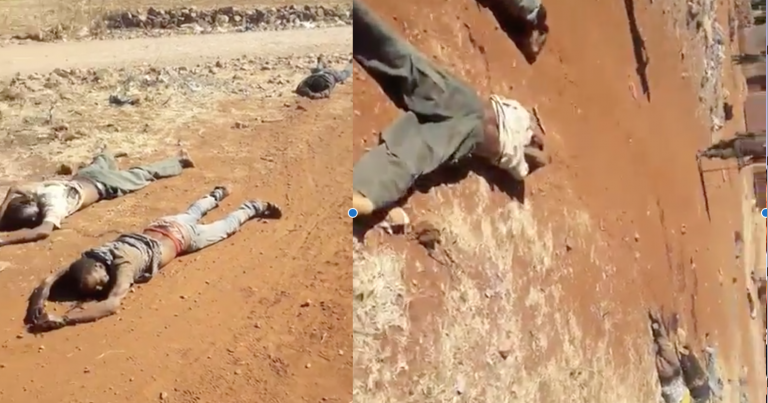 A graphic footage of the Debre Abay massacre: What do we know about it?