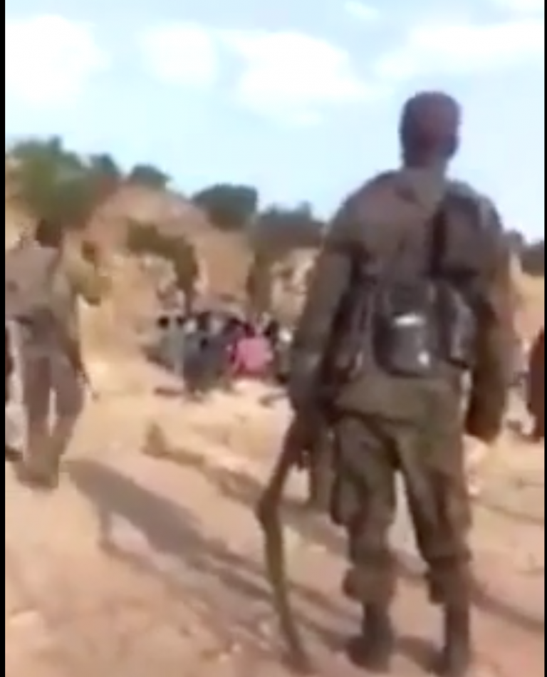 The Bora Massacre in southern Tigray by the Ethiopian army