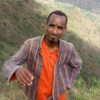 Photos of Victims and Mass Graves from the Debre Abay Massacre