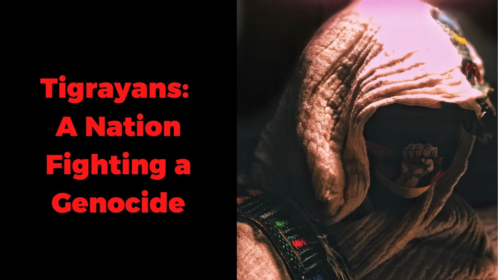 Tigrayans: A Nation Fighting a Genocide